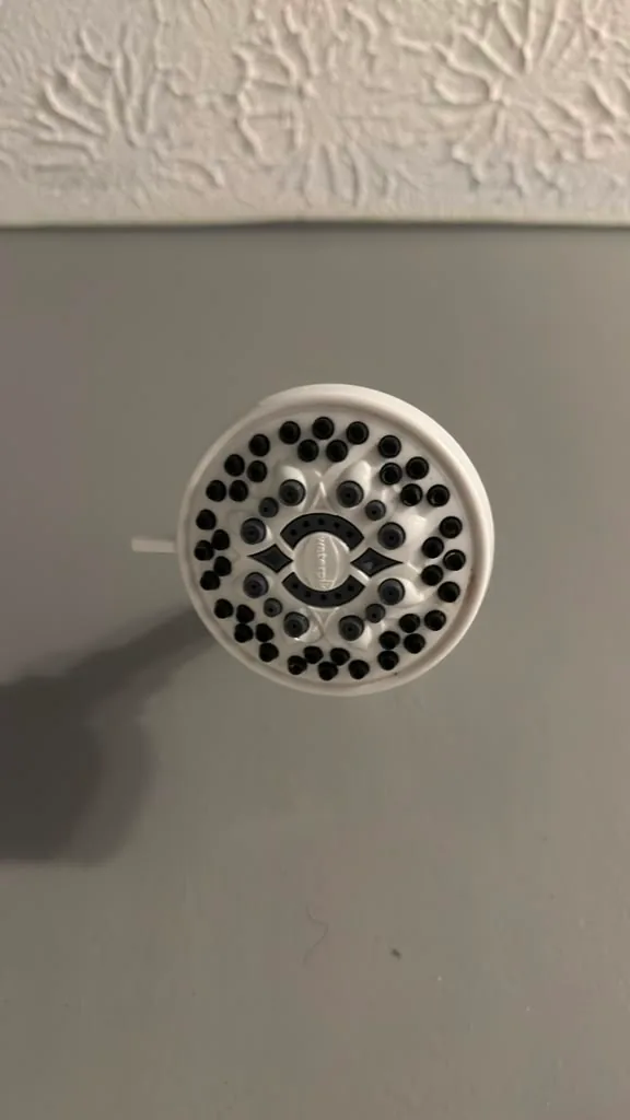 The same showerhead clean and clear after cleaning by Dolane Cleaning Services