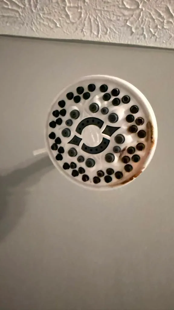 Showerhead with rust and mineral build-up before cleaning by Dolane Cleaning Services