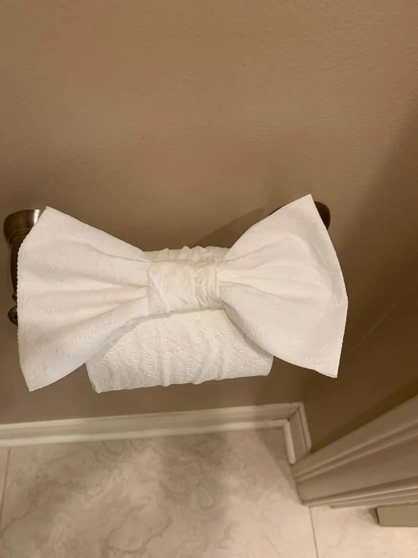 Toilet paper folded into a bow, a finishing touch left by Dolane Cleaning Services