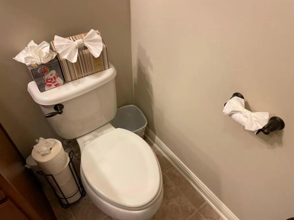 Bathroom cleaned and detailed with a folded tissue finish by Dolane Cleaning Services