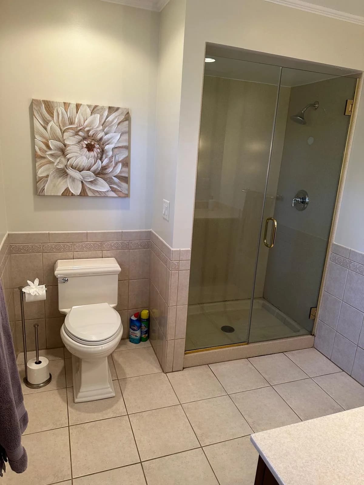 Bathroom cleaned top to bottom, including the shower enclosure and tile, during a deep cleaning by Dolane Cleaning Services